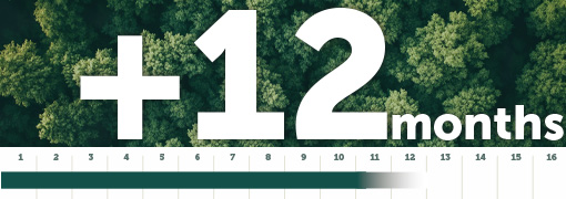 Ellepot Paper Decompose In +12 Months