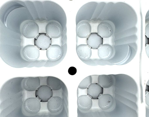 Ellepot Propagation Tray EP32084 ø32 for young plants to grow